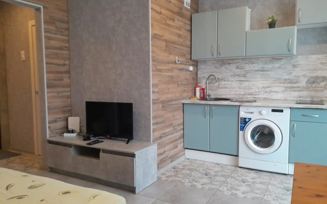 Studiya U Aeroporta Flat