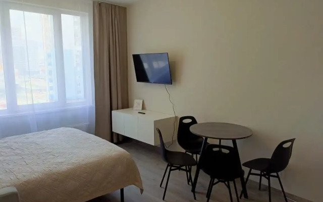 hotel Chetyrekhmestnye Apartamenty Leohotels Na Vitebskom, 99 Apartment