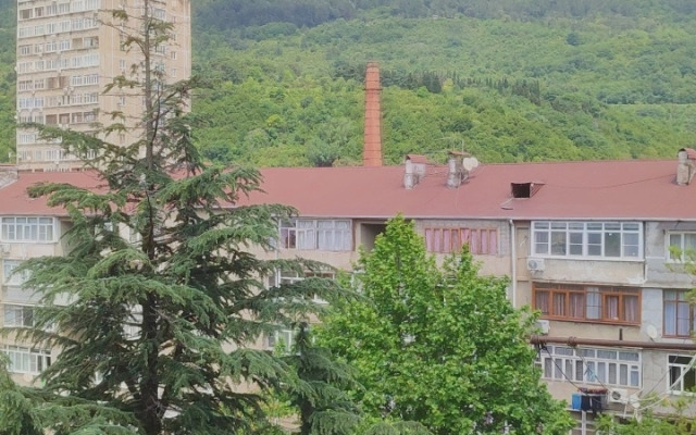 V Tsentre Gagry Flat