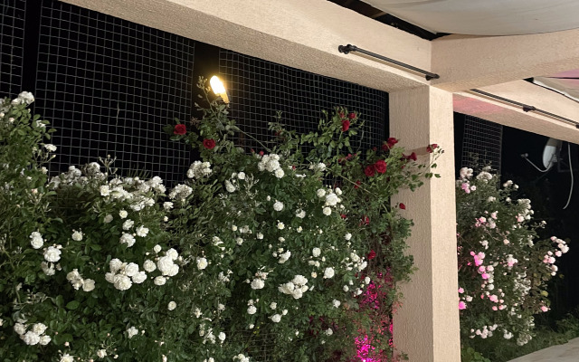 Askar Hotel