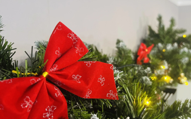 Квартира с Прекрасным Видом