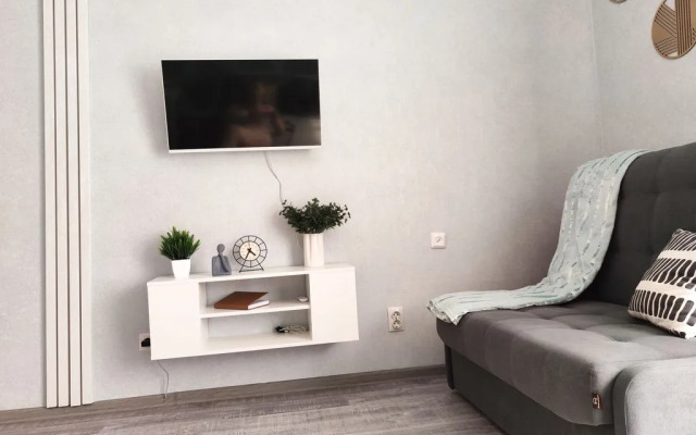 comfortable studio on Captain Gastello Street, 5