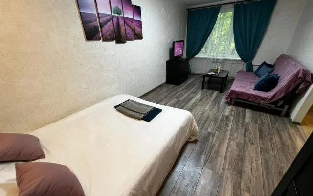 Квартира уютная в Сокольниках