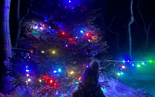 Cottages Goryachaya Sopka