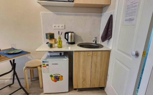 Uyutnaya Studiya Ryadom S Botanicheskim Sadom Flat