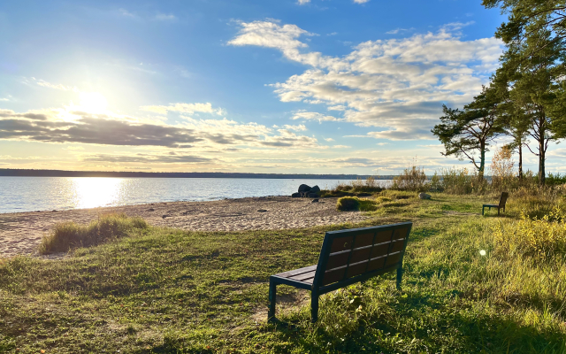 Лесной домик на берегу Озера Волго на Селигере - коттеджи Сосновый бор
