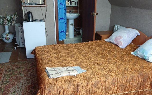 Gostinitsa Medis