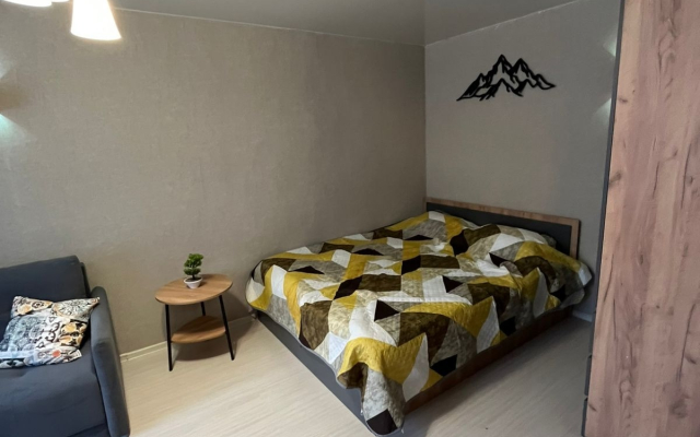 Квартира Однокомнатная Квартира Кирова 51