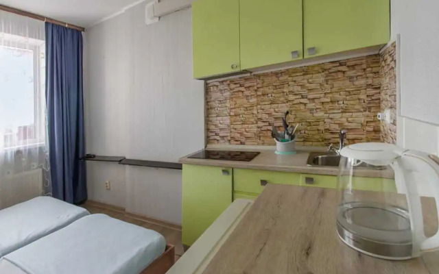 Апартаменты на Ростовской 100б (3)