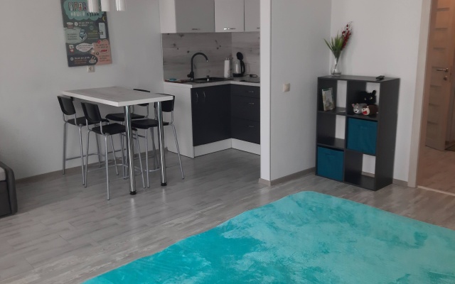 Baltiyskiy Veter Apartments