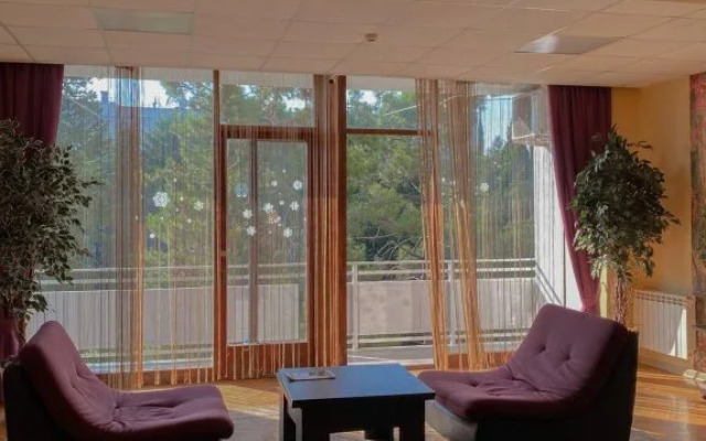 Svetlana-Tsentr s vidom na more i vostok Apartaments