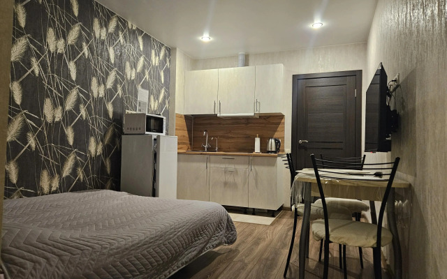 Uluchshennaya Studiya U Metro Parnas Flat