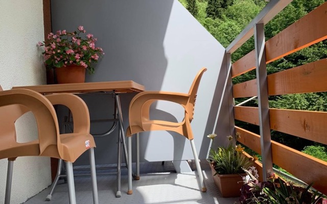 Apartment Sairme Hotel