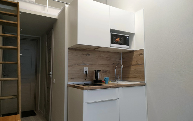 Apart-rooms by Moscow station