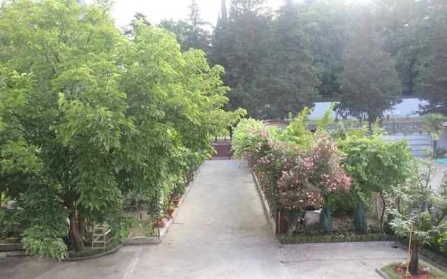 BoxHouse Guest house