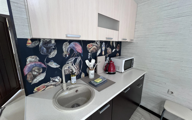 Uyutnaya Studiya na Ruzheynoy (16) Flat