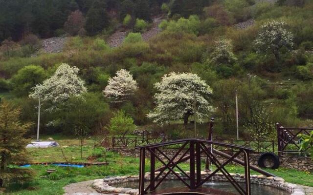 Мини-Отель Арфа