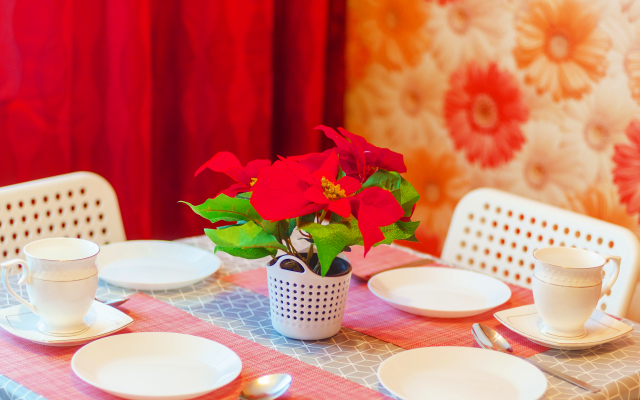 Comfort class, 20 years of Komsomol 56 Apartments