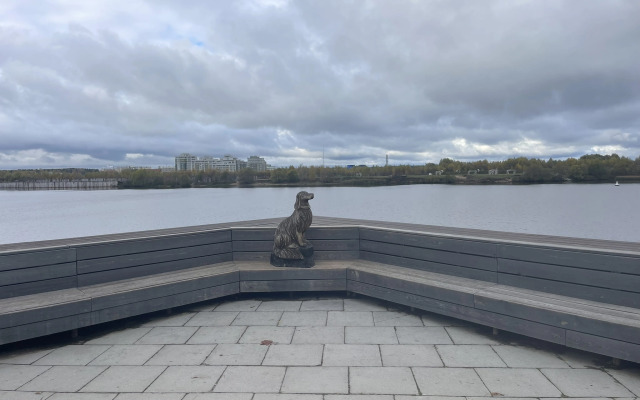 Квартира Студия Без Суеты