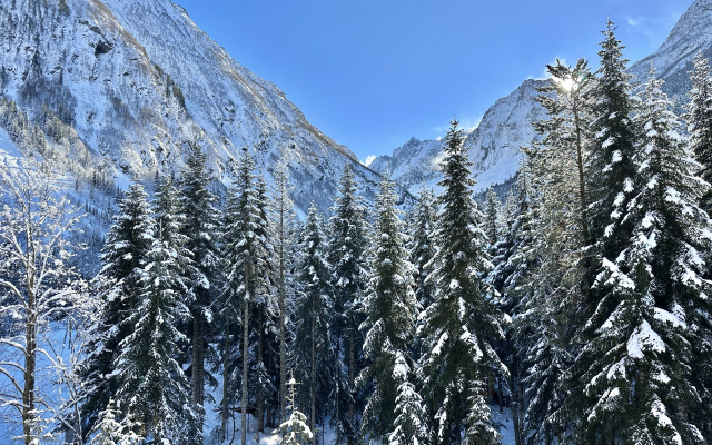 Квартира ArtHouse Dombay 12