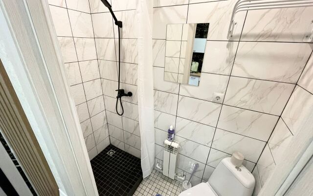 V Tsentre Goroda Apartments