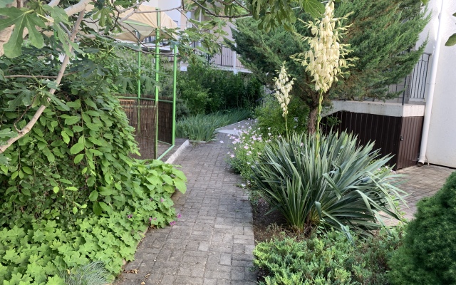 Отель Амалия