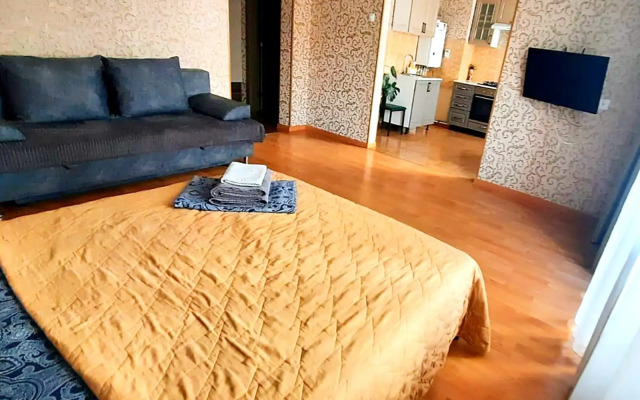 Квартира просторная студия Pogostim