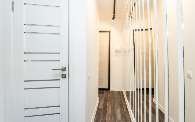 Апартаменты iRon Cat 1 у Сенной Площади