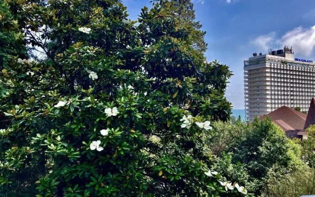 Svetlana-Tsentr s vidom na more i vostok Apartaments