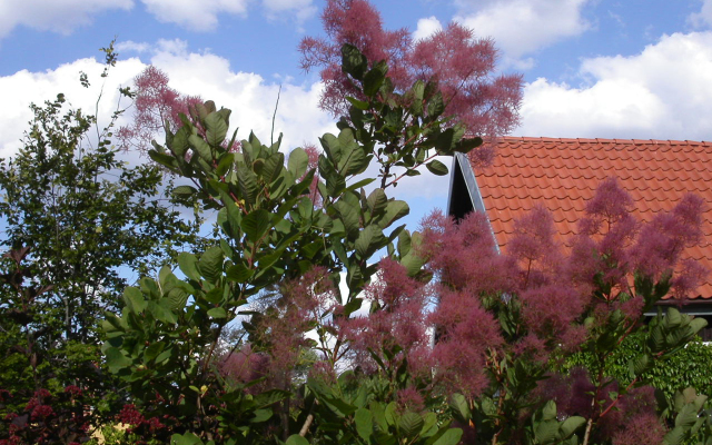 Reglówka Villa