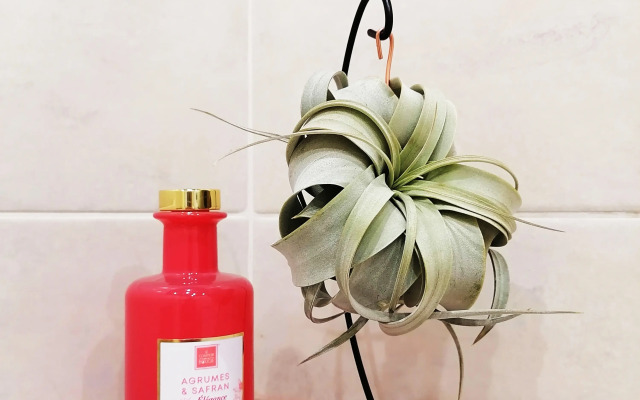 Zelenogradsk Kranc Park Odnokomnatnye Apartment