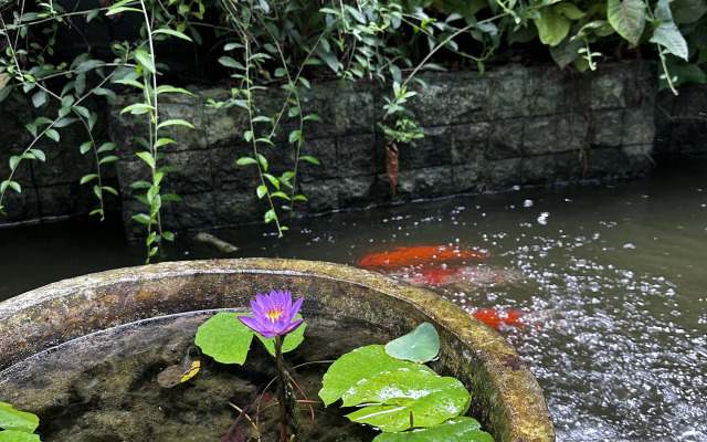 Гостевой Дом The Sattva Retreat Villas