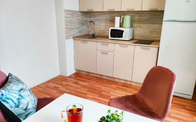 Апартаменты просторные у Аквапарка с видом на Уральские горы