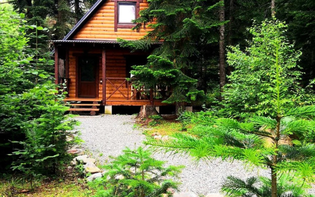 Гостевой Дом Arkhyz Nur Ski