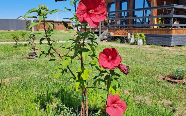 Гостевой дом Таловиночка