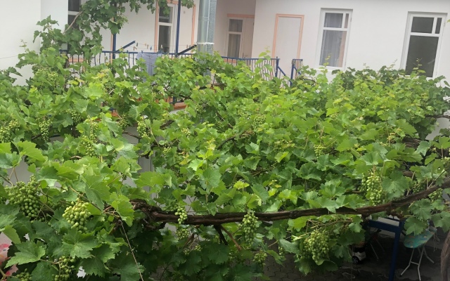 Гостевой дом Кипарис 2