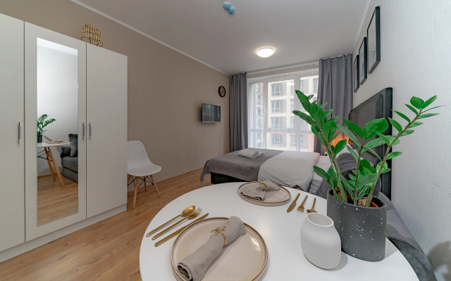 Апартаменты Уютная студия 1743