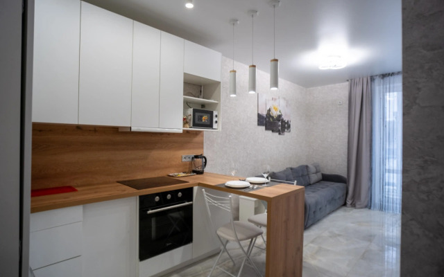 Euro Studio in an Elite ZHK 1 Apartments