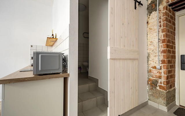 Studiya vo Fligele Starinnogo Doma Flat