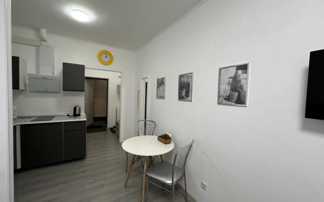 Апартаменты Никольские Студия