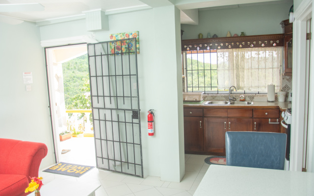 Mountain view St Lucia Apartments
