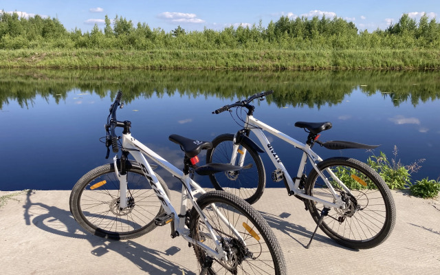 Вилла WoodyHouse