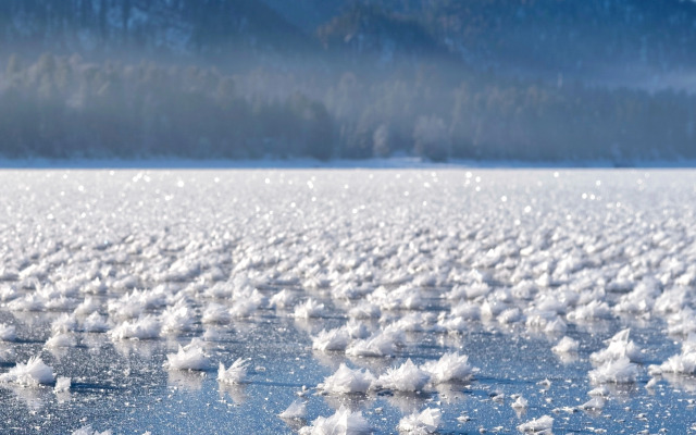 Гостевой дом Шале Телецкое