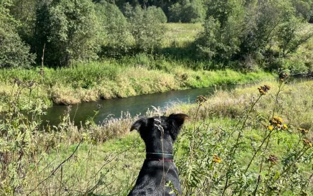 Частный дом с камином Речная Заимка