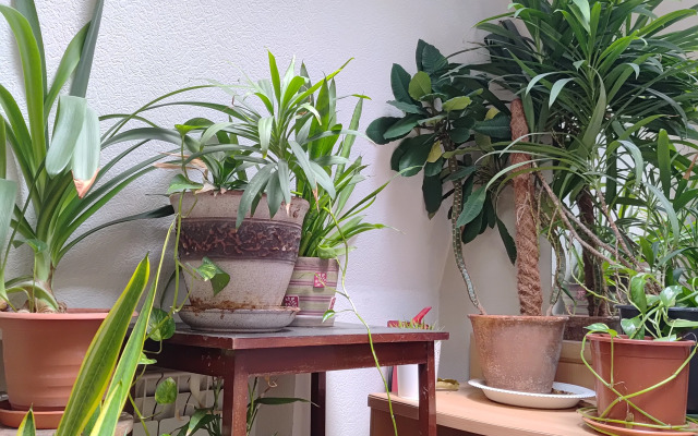 Мебелированные комнаты "Курская 10"