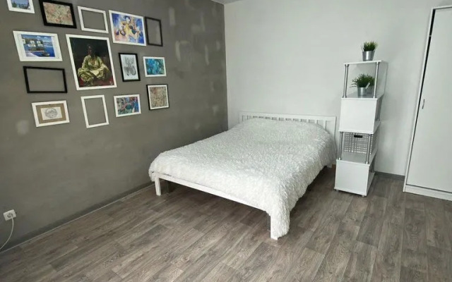 Квартира на Маловишерской 5