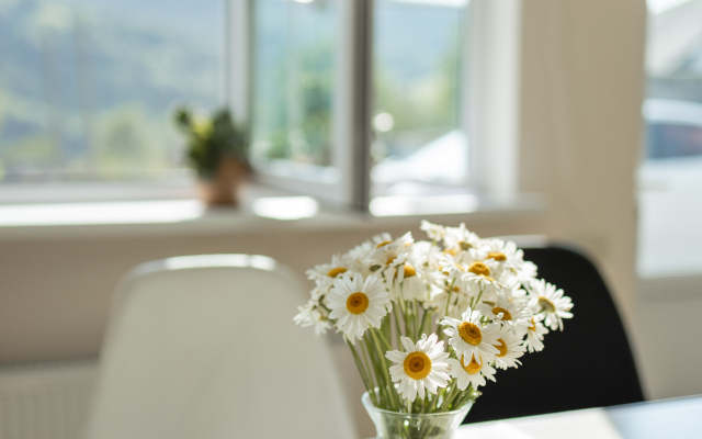 Chamich Guesthouse