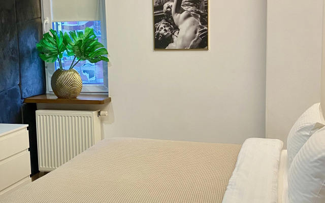 Luxury apartments in the city center