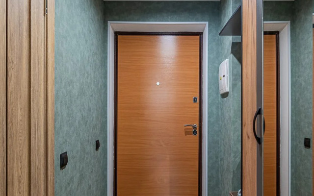 Vozle Aeroporta Studio Flat