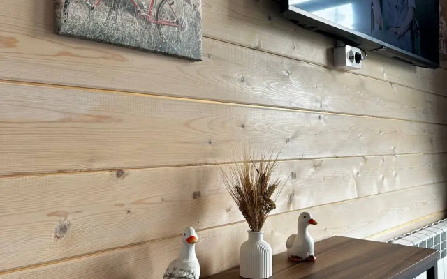 Частный дом VDerevne_pz